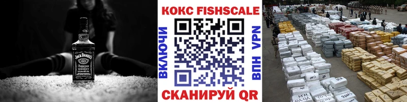 Cocaine FishScale  сколько стоит  OMG зеркало  Дмитровск 