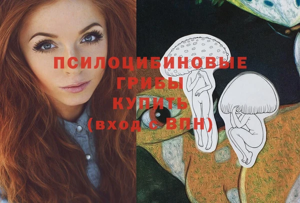 дурь Алзамай