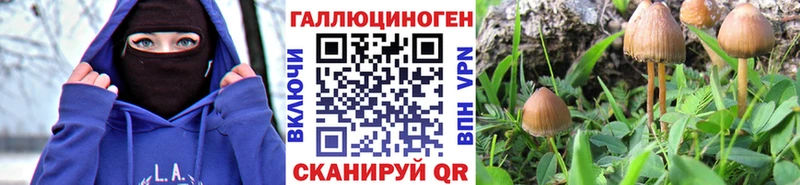 Псилоцибиновые грибы ЛСД купить наркотики цена Дмитровск